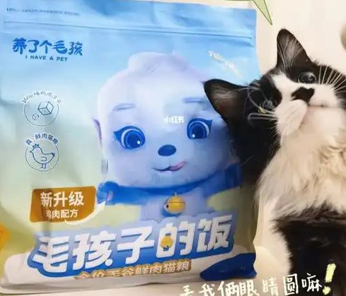 口粮！三只松鼠靠什么重返宠物食品赛道CQ9电子app零食巨头盯上毛孩子