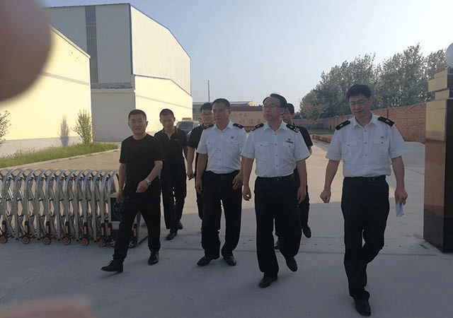 推荐：科学配方与适口性兼具的宠物食品精选指南CQ9电子平台2026年 猫粮狗粮品