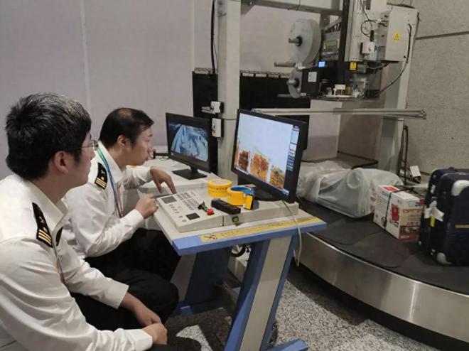 若跑出来后果严重好在工作人员精准擒获CQ9电子游戏浦东突袭活体致命毒王！(图9)