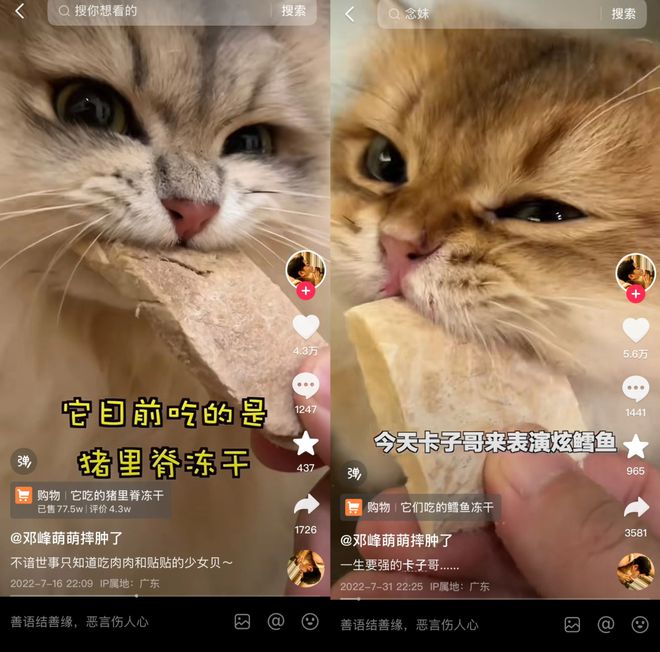 目Top3这条千亿赛道杀出一匹黑马CQ9电子登录注册年销2亿抖音类(图2) 目Top3这条千亿赛道杀出一匹黑马CQ9电子登录注册年销2亿抖音类(图2)