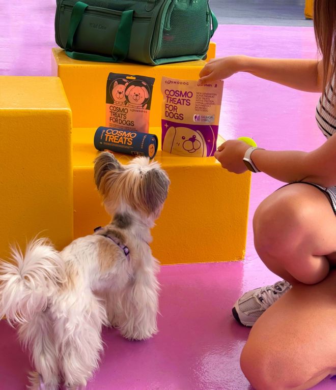 pet宠物零食以昆虫蛋白开辟全新赛道CQ9电子平台中俄联合品牌cosmo